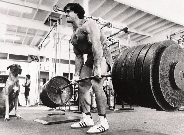Franco Columbu Bodybuilding Pose | Fitness Legend Poster | Vintage Gym Motivation Art