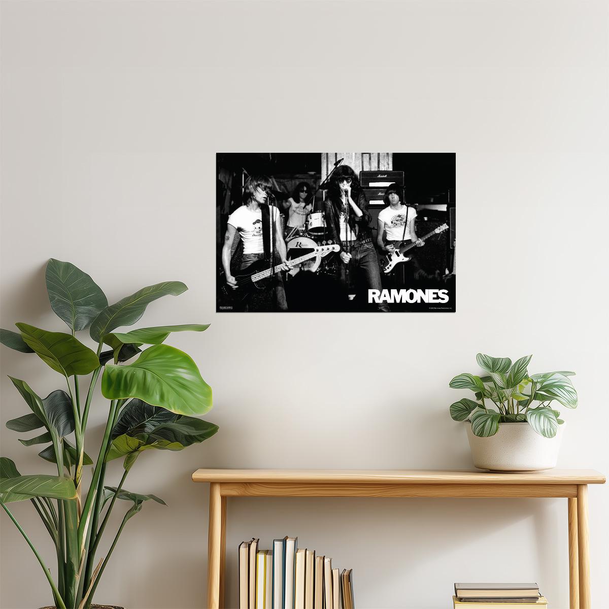 Ramones Live Concert Poster | Punk Rock Wall Art | Black and White Band Photo