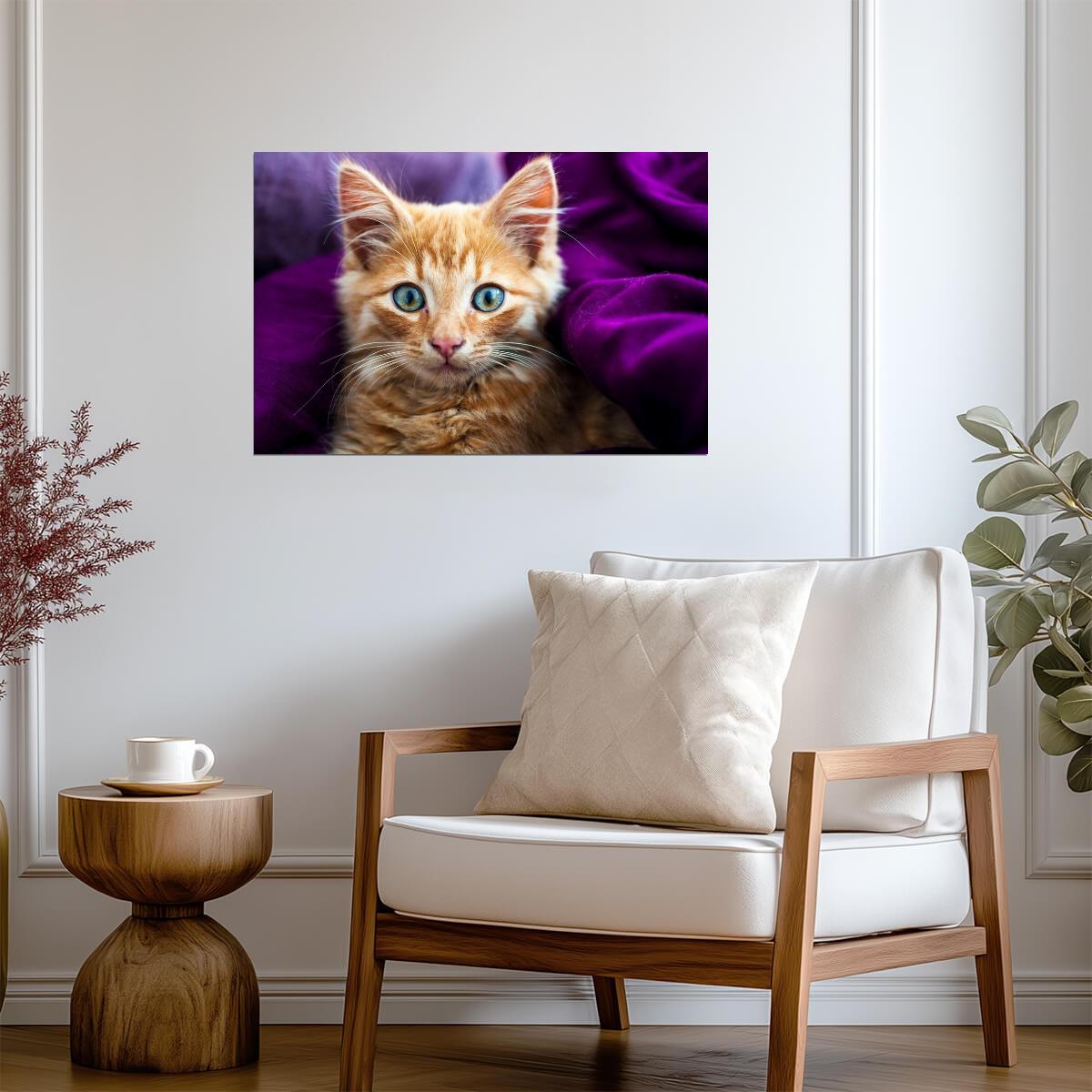 Fluffy Ginger Kitten | Softness Pet Photography | Cute Cat Poster - Photography Poster