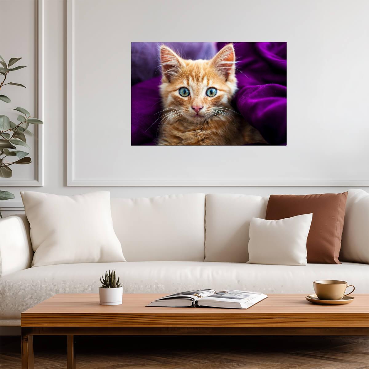 Fluffy Ginger Kitten | Softness Pet Photography | Cute Cat Poster - Photography Poster