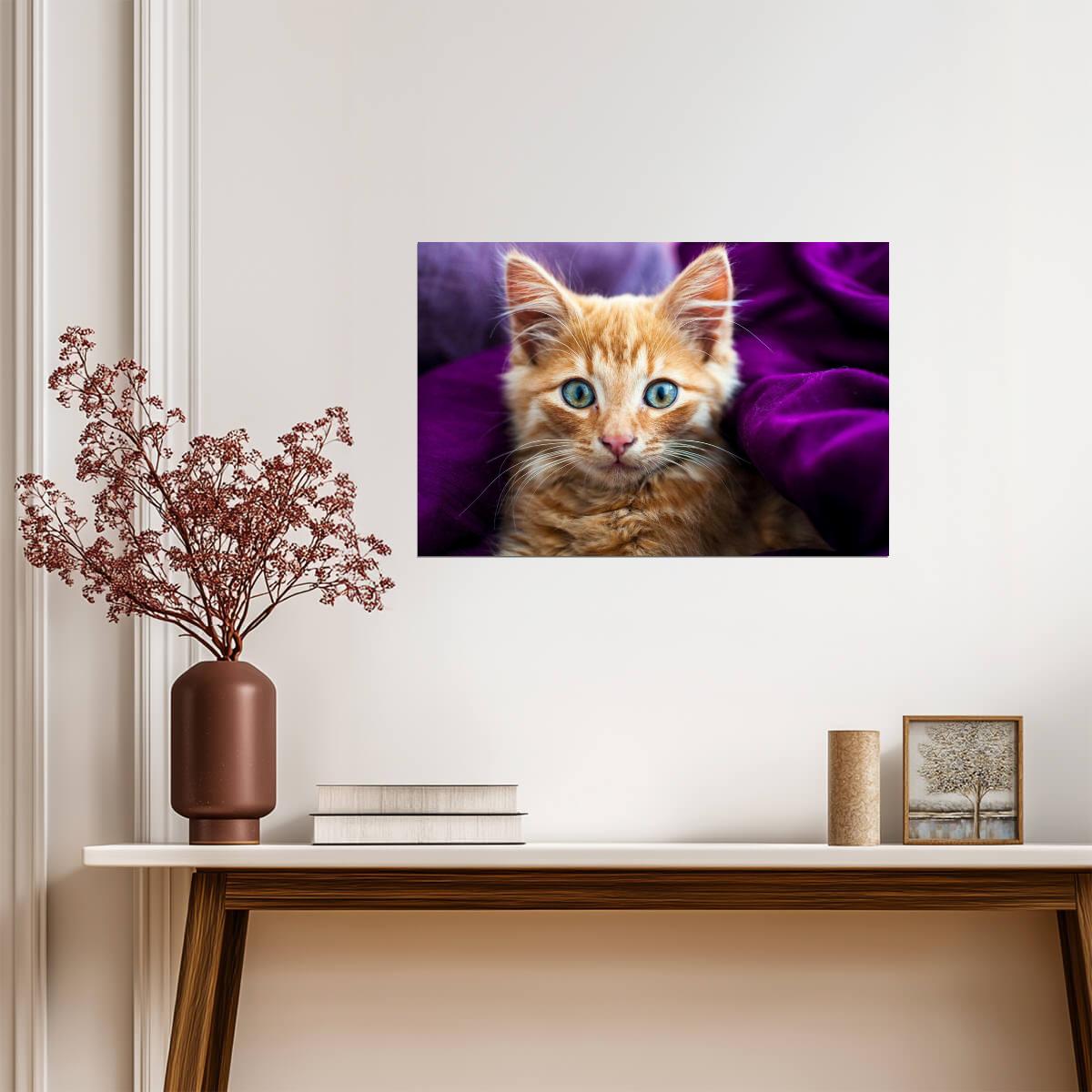 Fluffy Ginger Kitten | Softness Pet Photography | Cute Cat Poster - Photography Poster