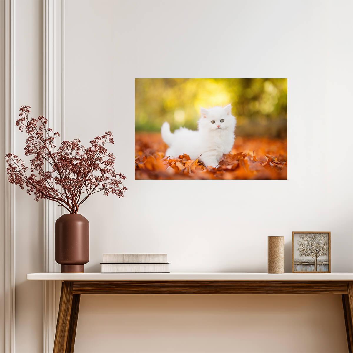 Cute White Kitten Stalking in Autumn Leaves | Pet Photography | Cat Poster - Photography Poster
