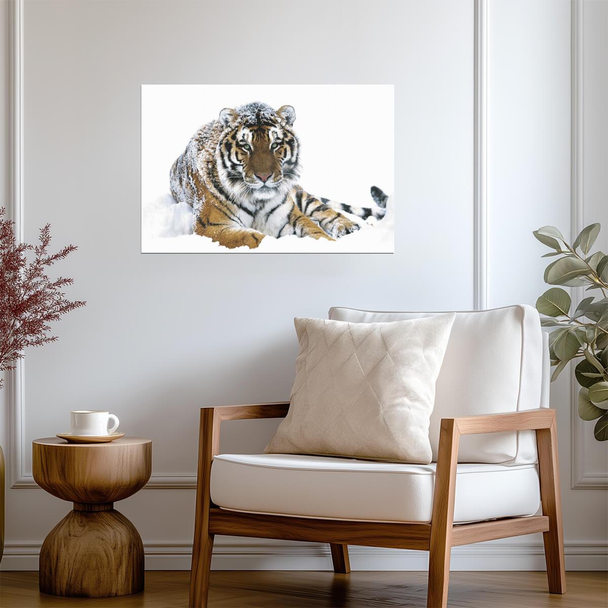 Siberian Tiger in the Snow | Wildlife Photography Print | Animal Wall Art Poster - Photography Poster