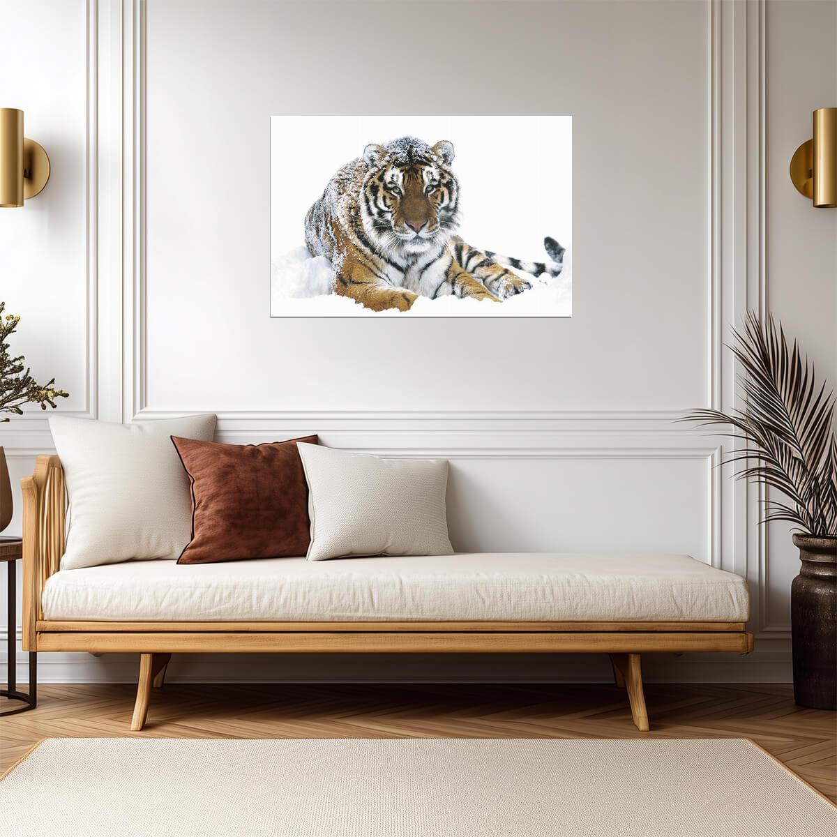Siberian Tiger in the Snow | Wildlife Photography Print | Animal Wall Art Poster - Photography Poster