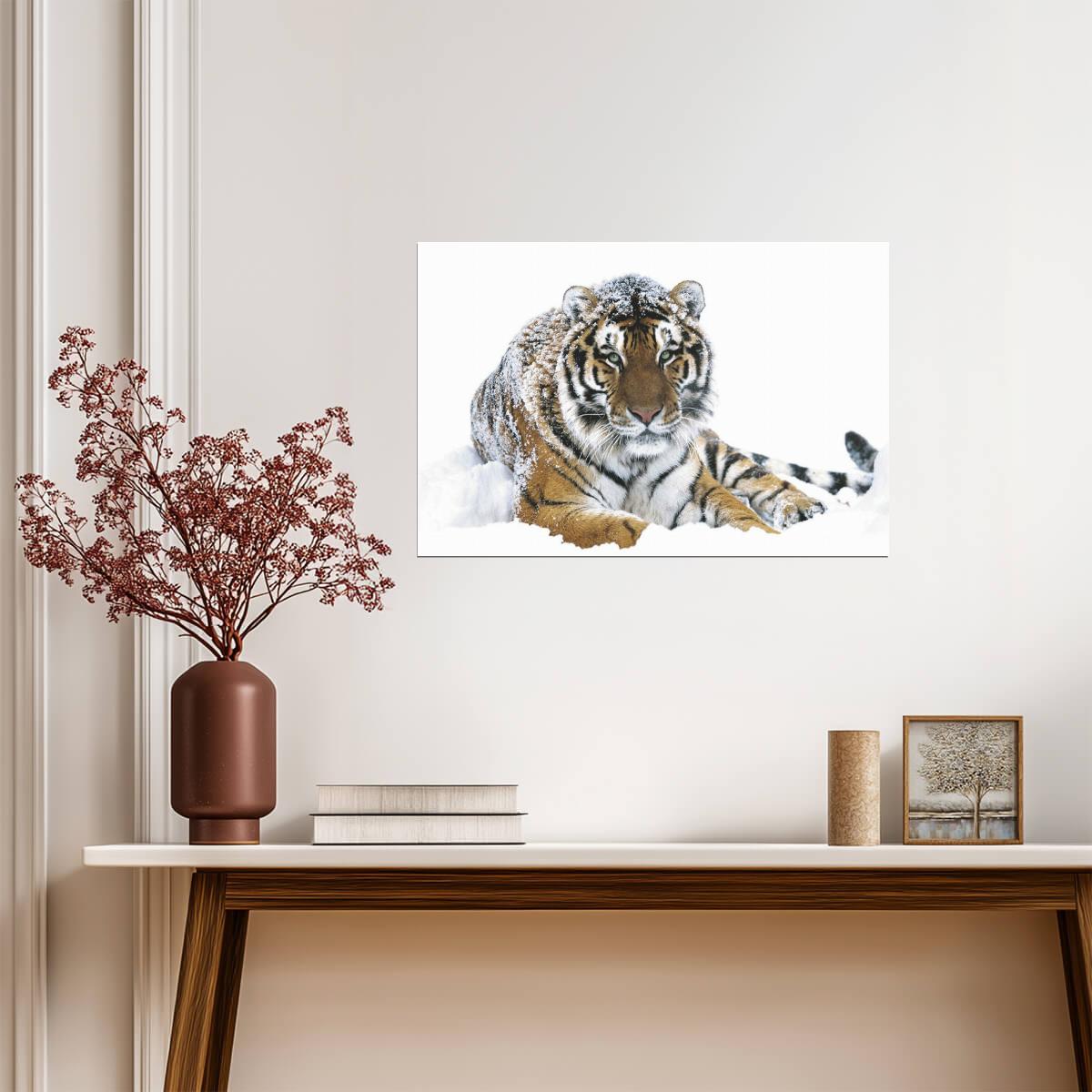 Siberian Tiger in the Snow | Wildlife Photography Print | Animal Wall Art Poster - Photography Poster