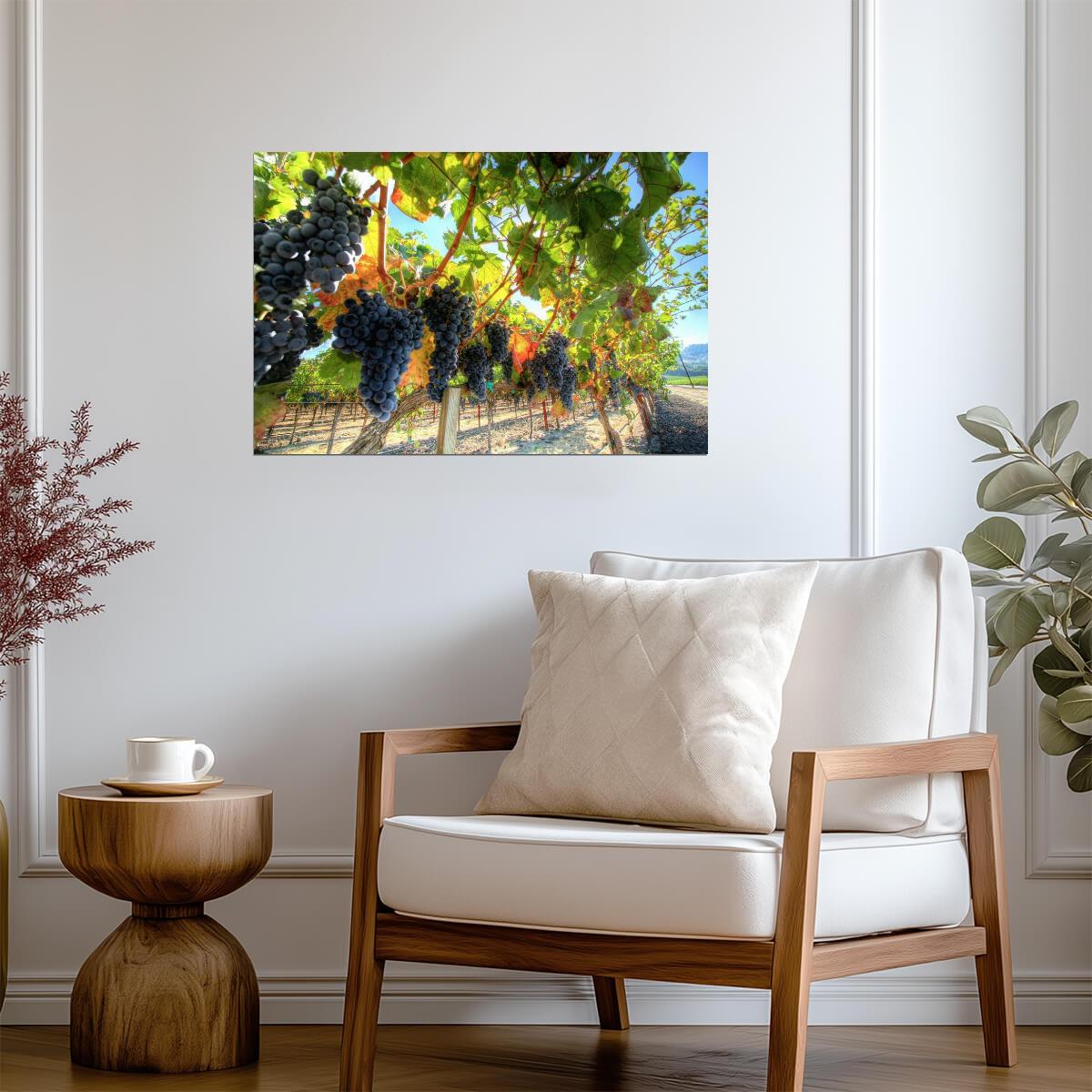 Grapes on the Vine Photography | Vineyard Wall Art | Wine Themed Poster - Photography Poster
