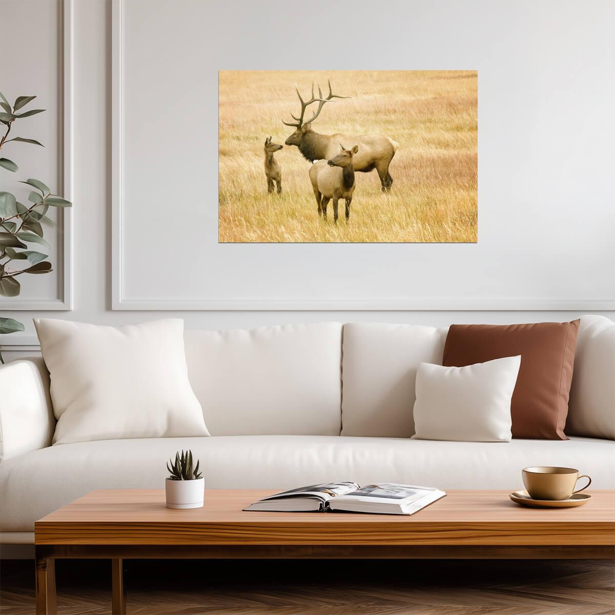 Elk Family in the Rocky Mountains | Wildlife Photography Poster - Photography Poster