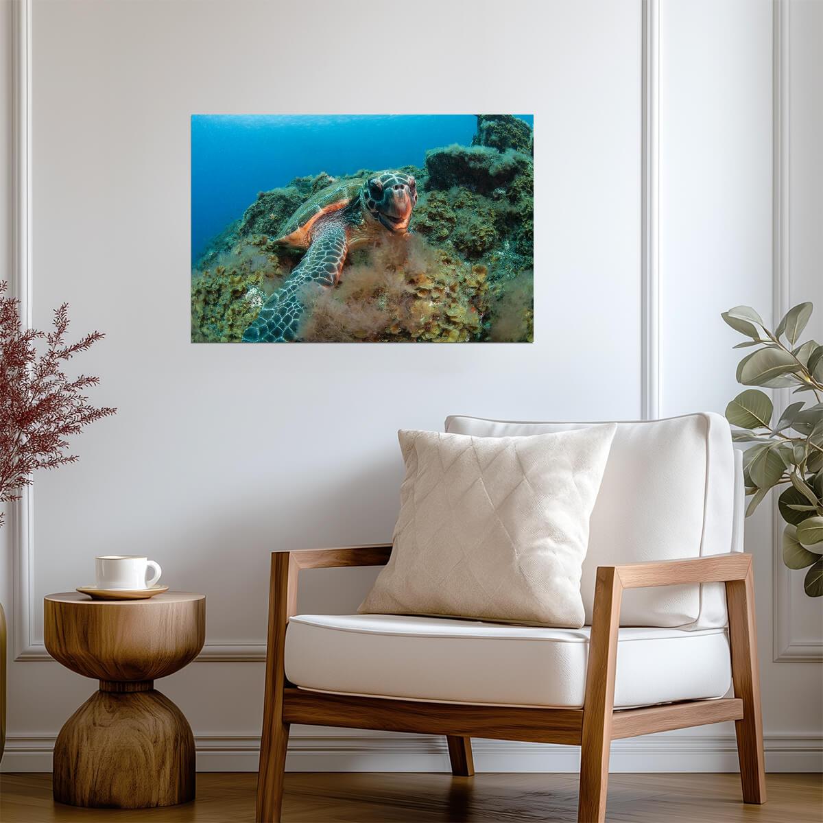 Hawksbill Sea Turtle Underwater | Canary Islands Marine Life Photography | Ocean Poster - Photography Poster