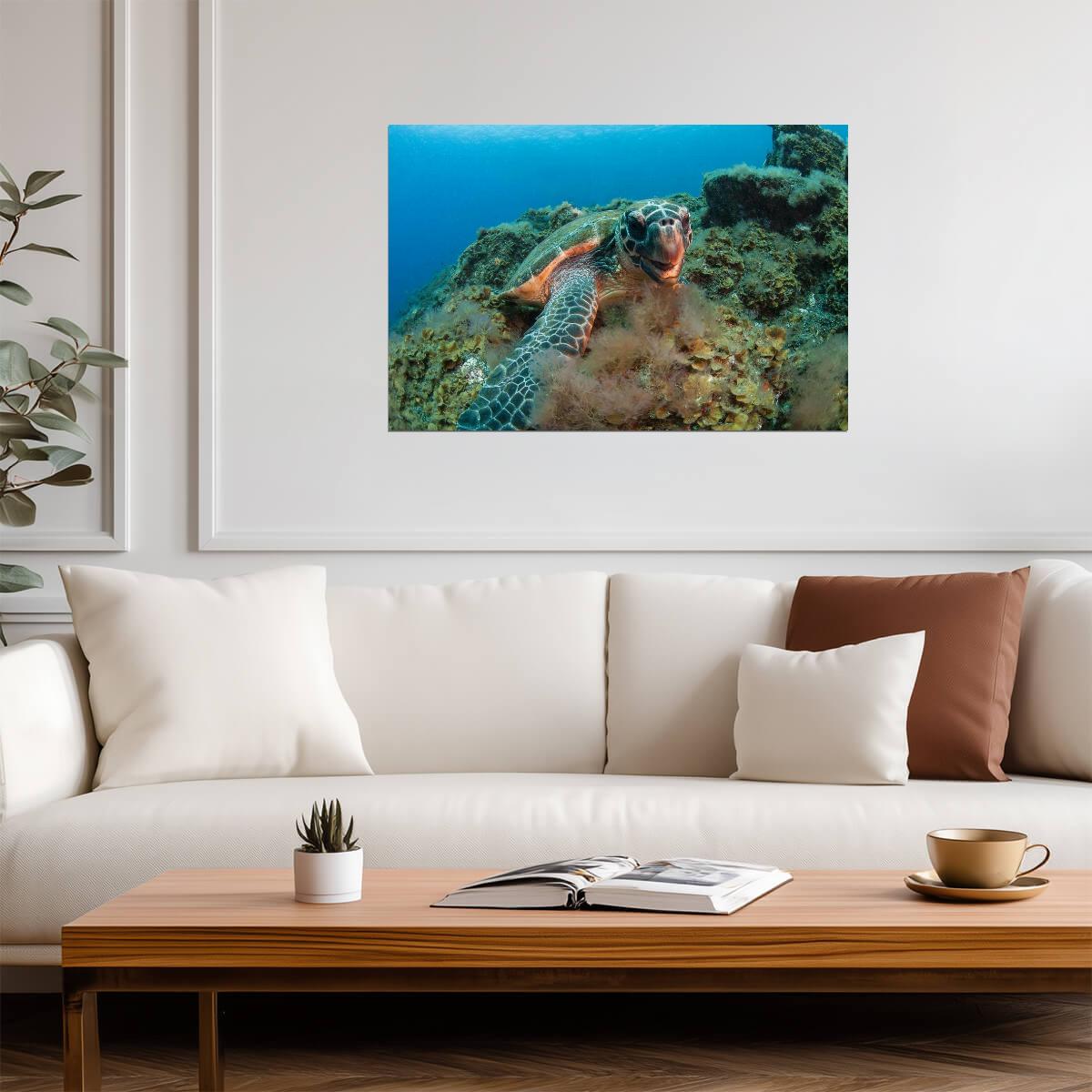 Hawksbill Sea Turtle Underwater | Canary Islands Marine Life Photography | Ocean Poster - Photography Poster