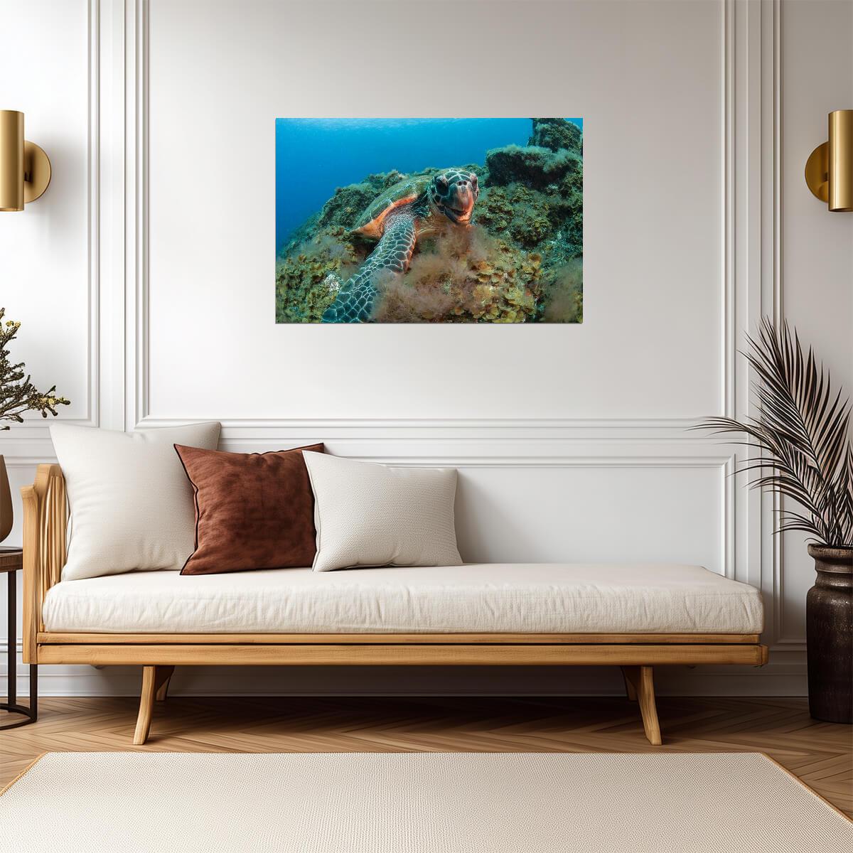 Hawksbill Sea Turtle Underwater | Canary Islands Marine Life Photography | Ocean Poster - Photography Poster