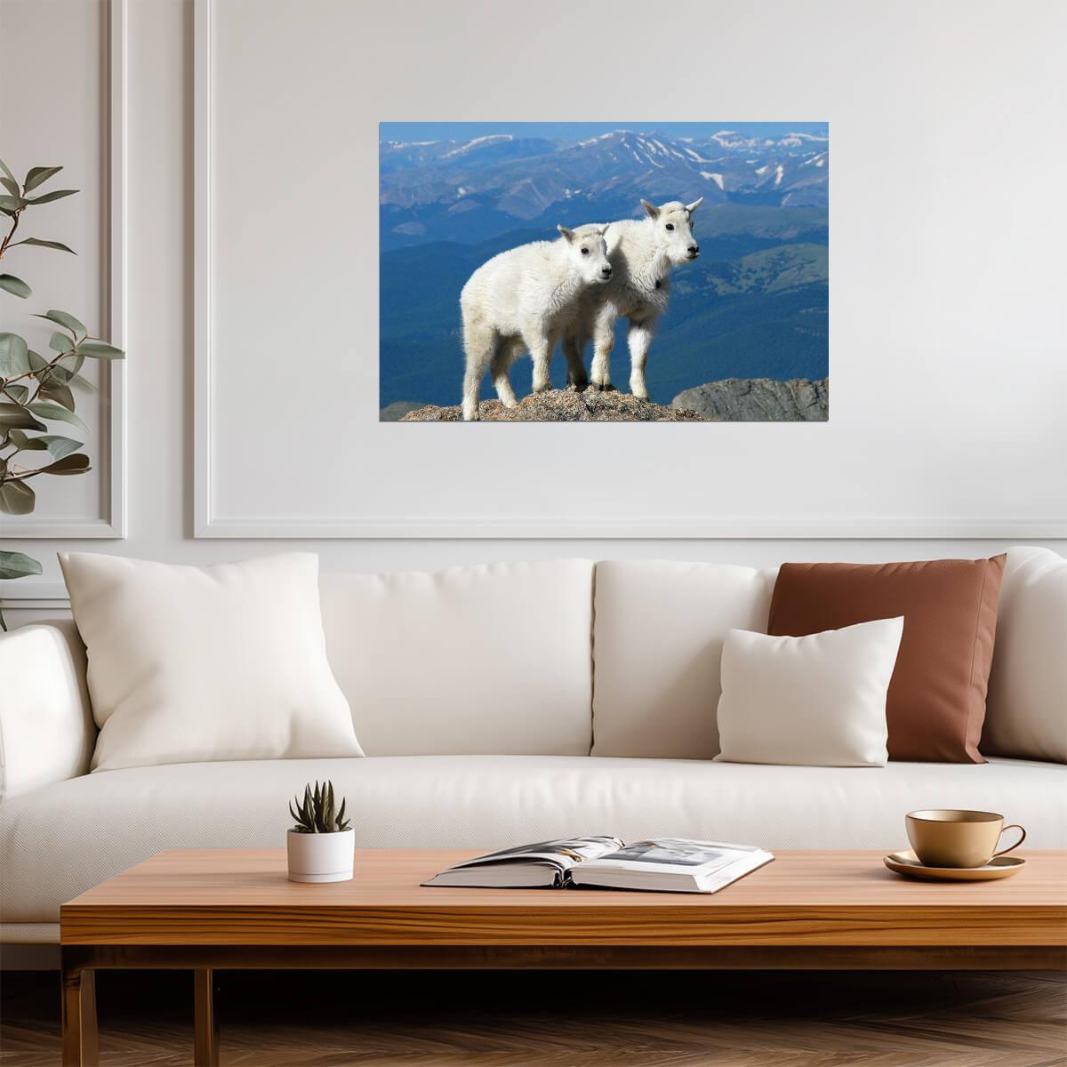Two Kid Goats | Rocky Mountains Photography Poster | Animal Wall Art - Photography Poster
