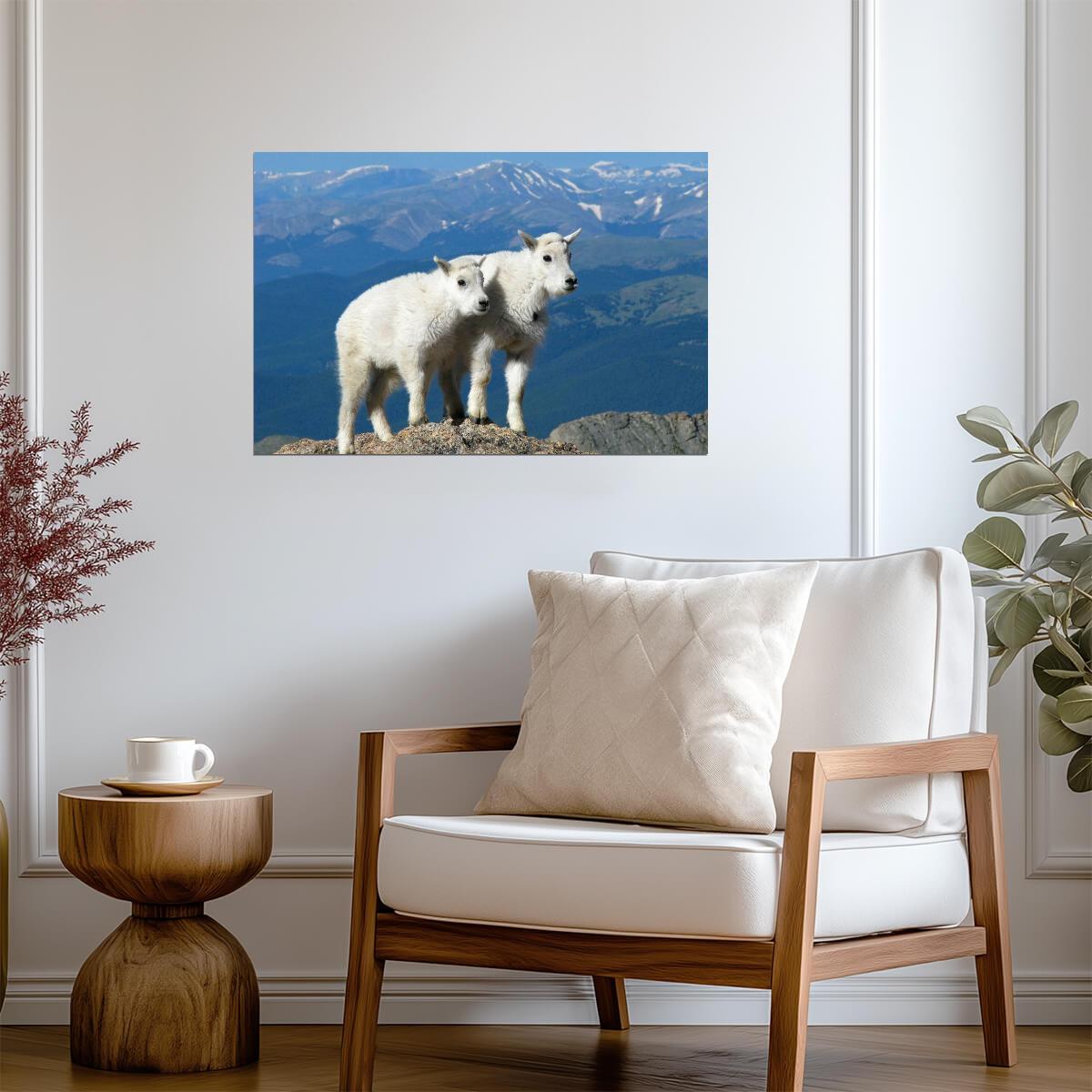 Two Kid Goats | Rocky Mountains Photography Poster | Animal Wall Art - Photography Poster