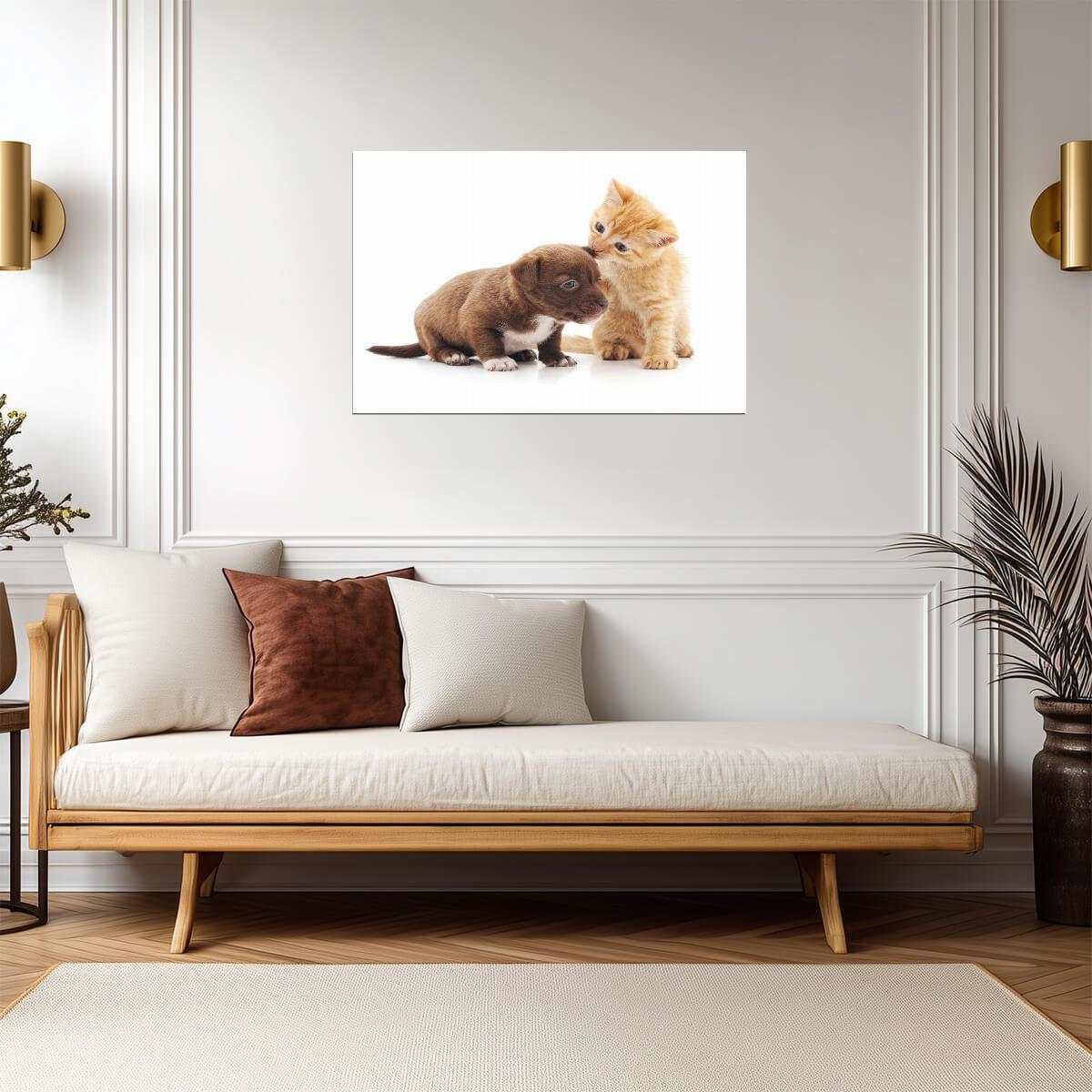 Cute Kitten and Puppy Cuddling | Loving Animals Photography | Pet Friendship Poster - Photography Poster