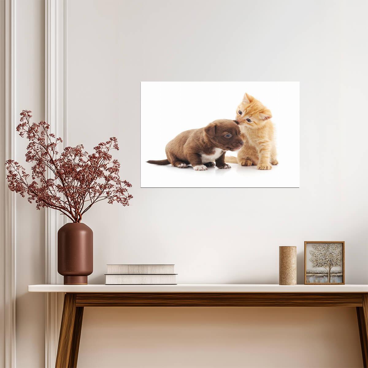 Cute Kitten and Puppy Cuddling | Loving Animals Photography | Pet Friendship Poster - Photography Poster