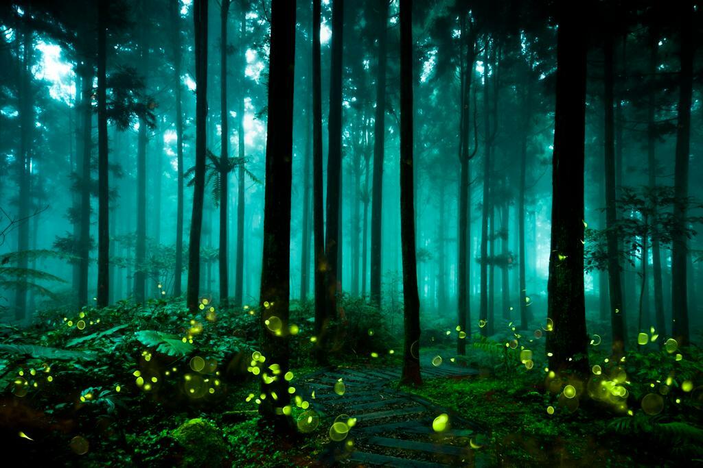 Magical Firefly Forest Poster | Fantasy Art Print | Enchanted Landscape Wall Art