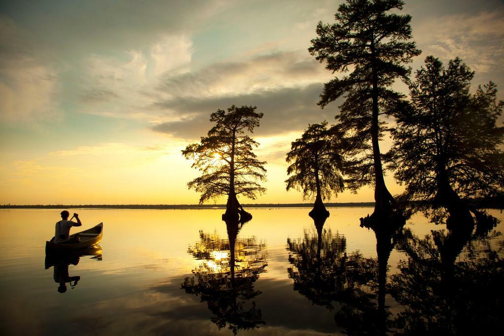 Reflection of Boy in Canoe on a River | Nature Photography Print | Serene Wall Art Poster - Photography Poster