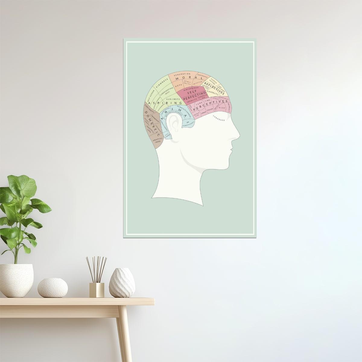Phrenology Chart | Vintage Brain Mapping Illustration Poster