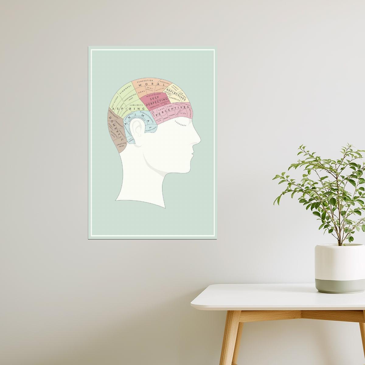 Phrenology Chart | Vintage Brain Mapping Illustration Poster