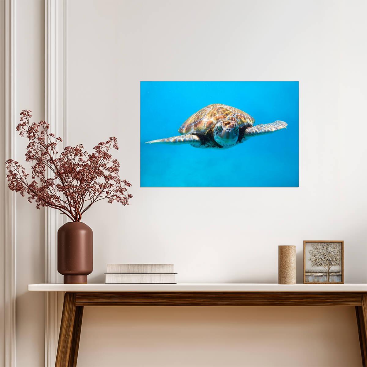 Sea Turtle Close Up | Underwater Photography Print | Marine Life Poster - Photography Poster