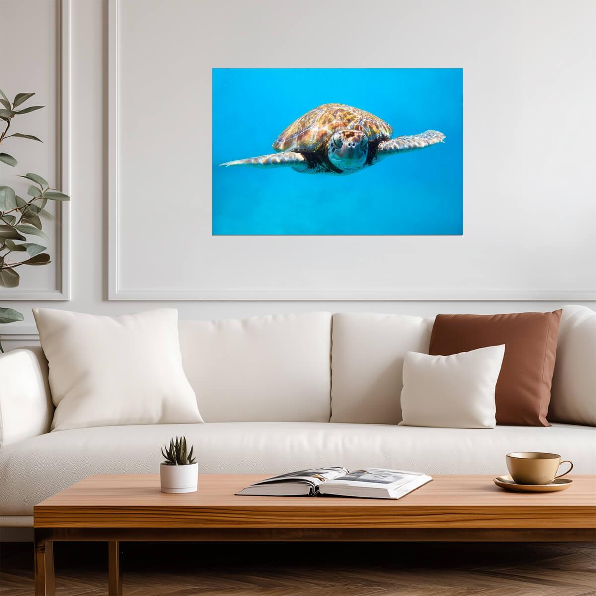 Sea Turtle Close Up | Underwater Photography Print | Marine Life Poster - Photography Poster