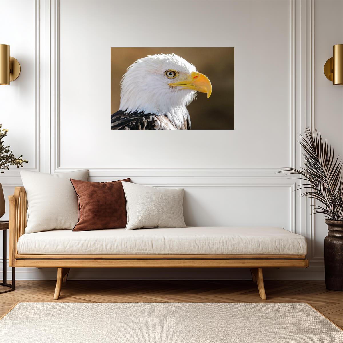 Bald Eagle Portrait | American Wildlife Photography | Bird of Prey Poster - Photography Poster