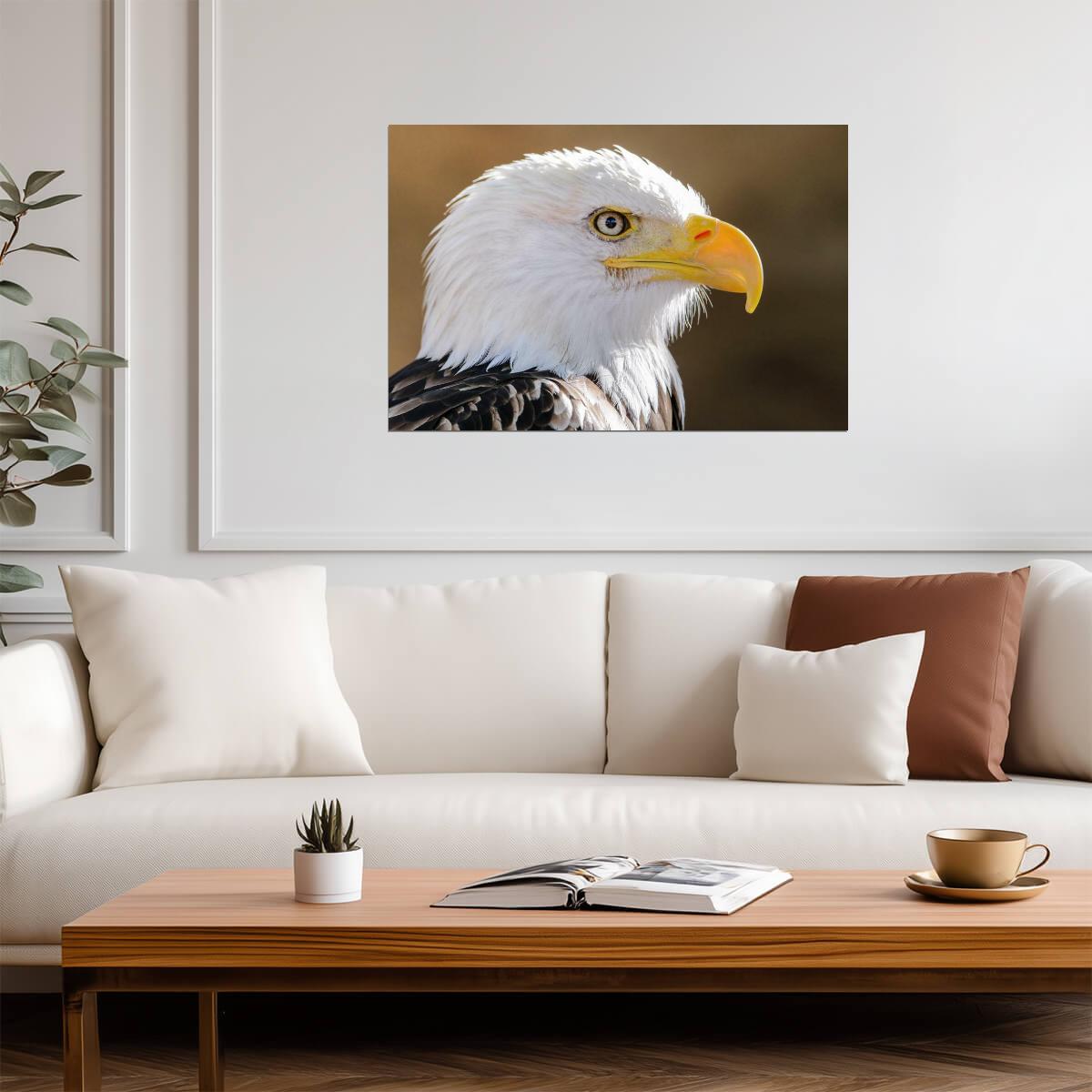 Bald Eagle Portrait | American Wildlife Photography | Bird of Prey Poster - Photography Poster