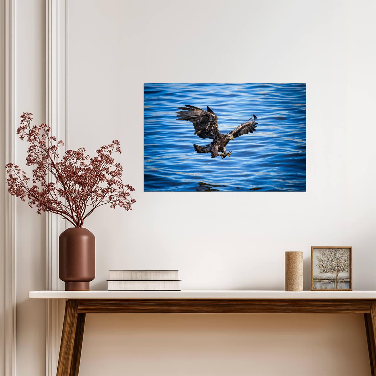 Bald Eagle in Flight Photo | American Wildlife Photography | Nature Wall Art Poster - Photography Poster