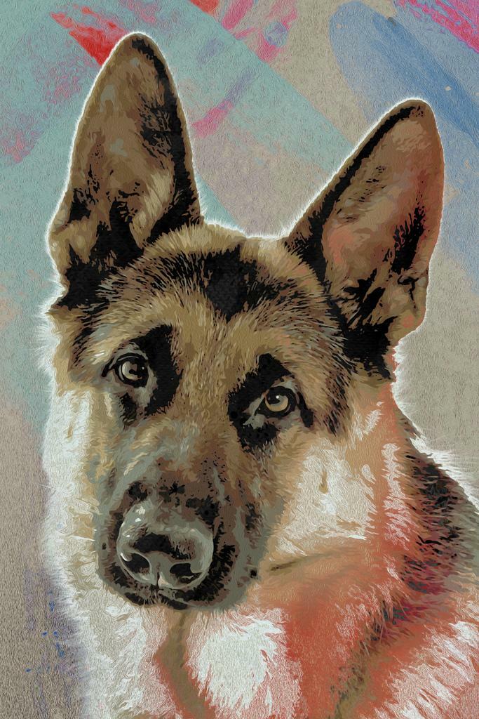 German Shepherd Portrait | Pop Art Style Dog | Colorful Pet Illustration Poster - Graphic & Art Poster