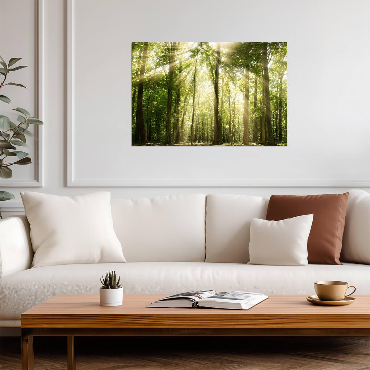 Sunrays Through Forest Trees Photo | Nature Photography | Woodland Landscape Poster - Photography Poster