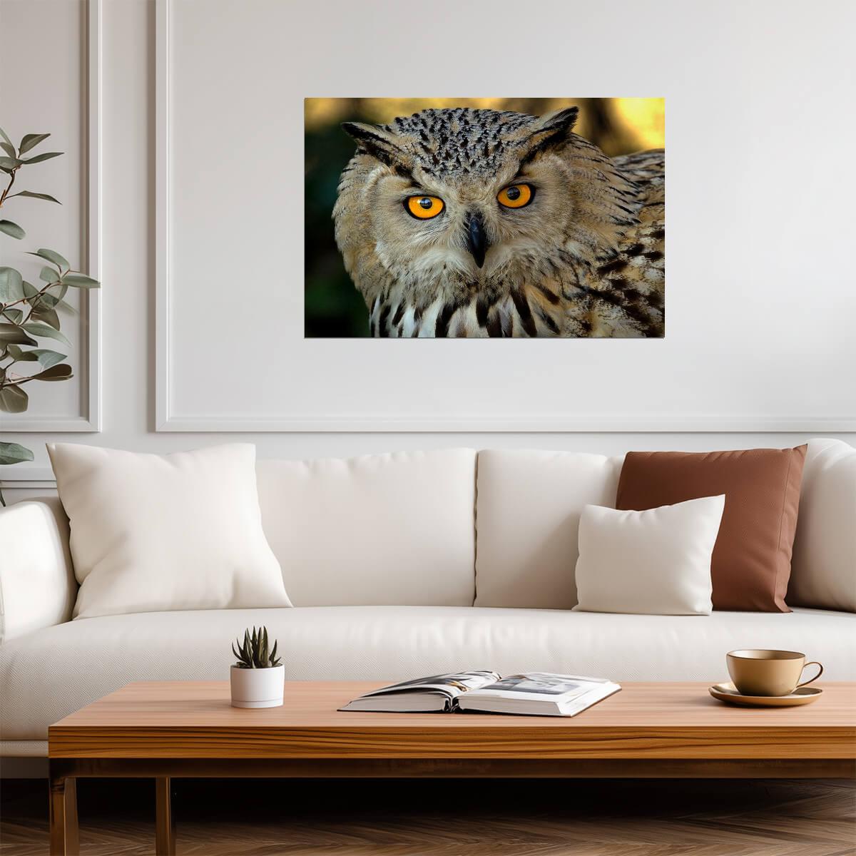 Eurasian Eagle Owl Close Up | Bird of Prey Photography | Wildlife Poster - Photography Poster