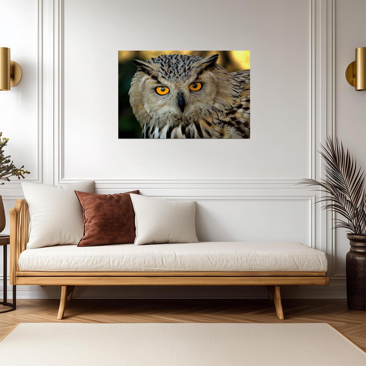 Eurasian Eagle Owl Close Up | Bird of Prey Photography | Wildlife Poster - Photography Poster