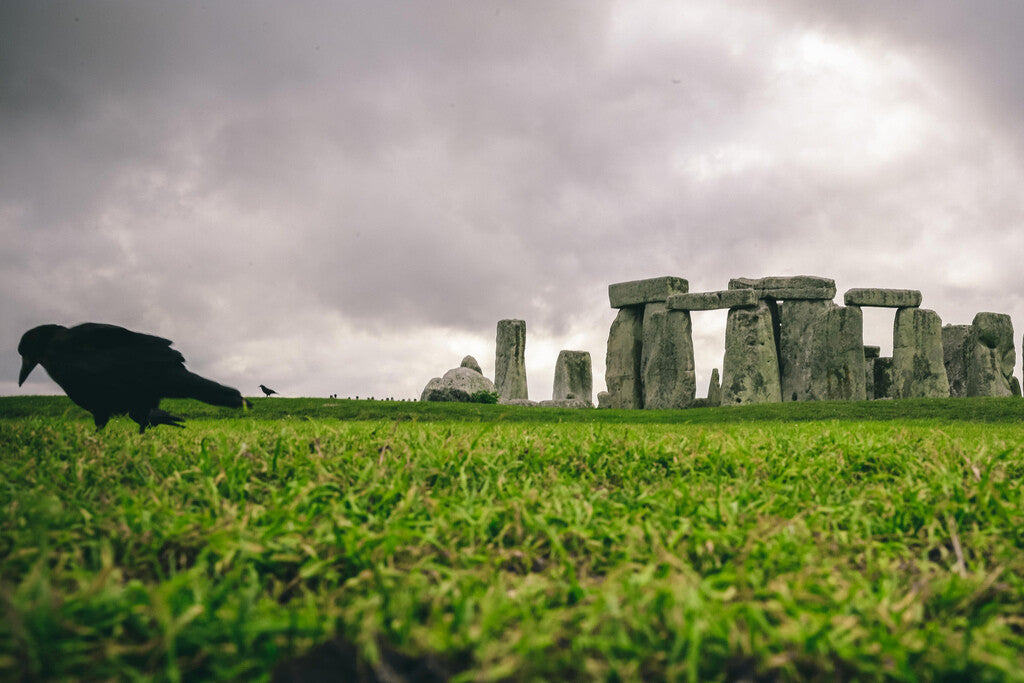 Stonehenge with Black Crow Poster | England Landscape Photography | Historic Wall Art