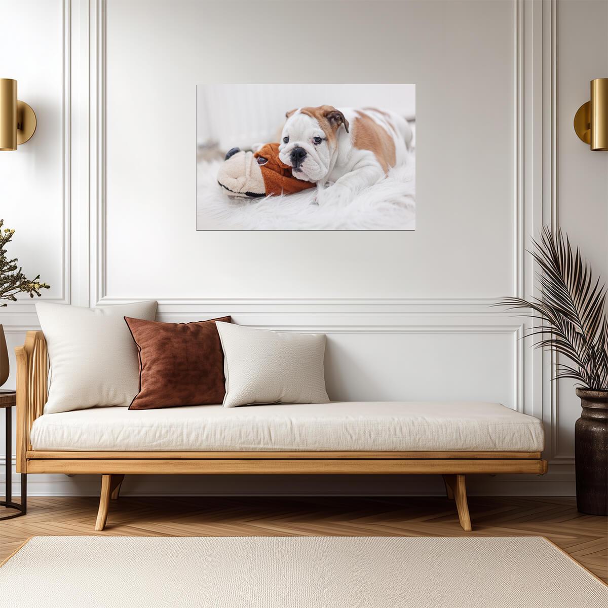 English Bulldog Puppy Laying on a Toy | Pet Photography | Cute Dog Poster - Photography Poster
