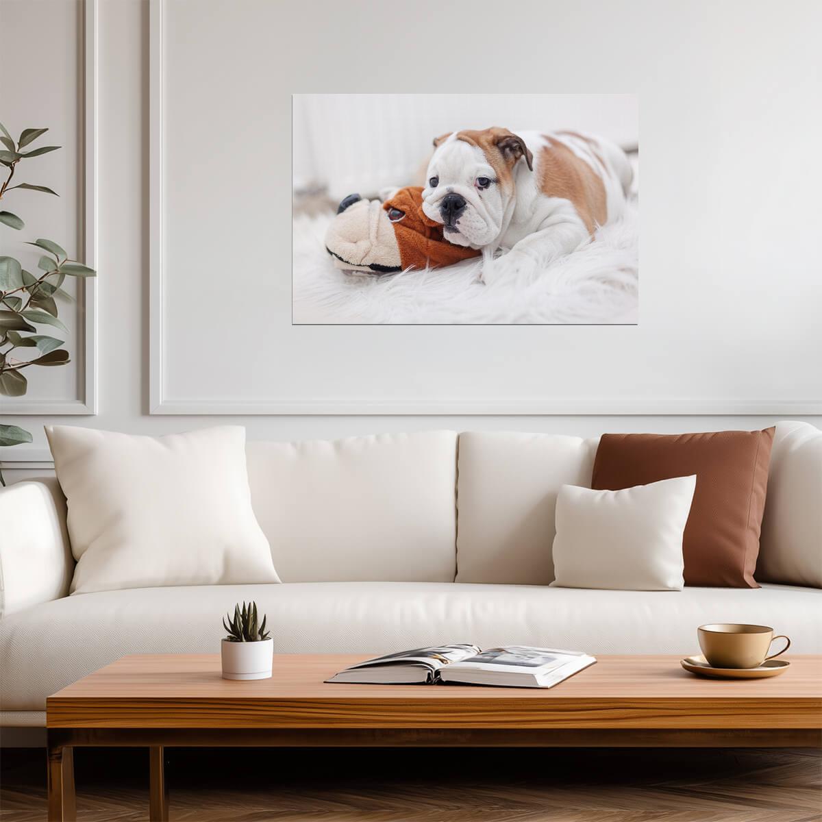 English Bulldog Puppy Laying on a Toy | Pet Photography | Cute Dog Poster - Photography Poster