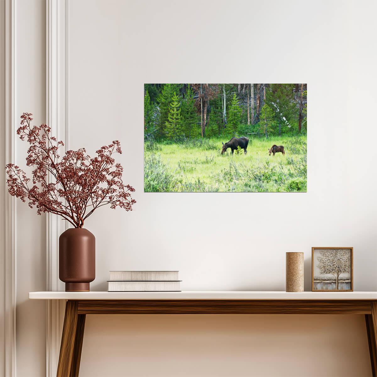 Cow Moose and Calf in Kawuneeche Valley | Rocky Mountains Photography Poster - Photography Poster