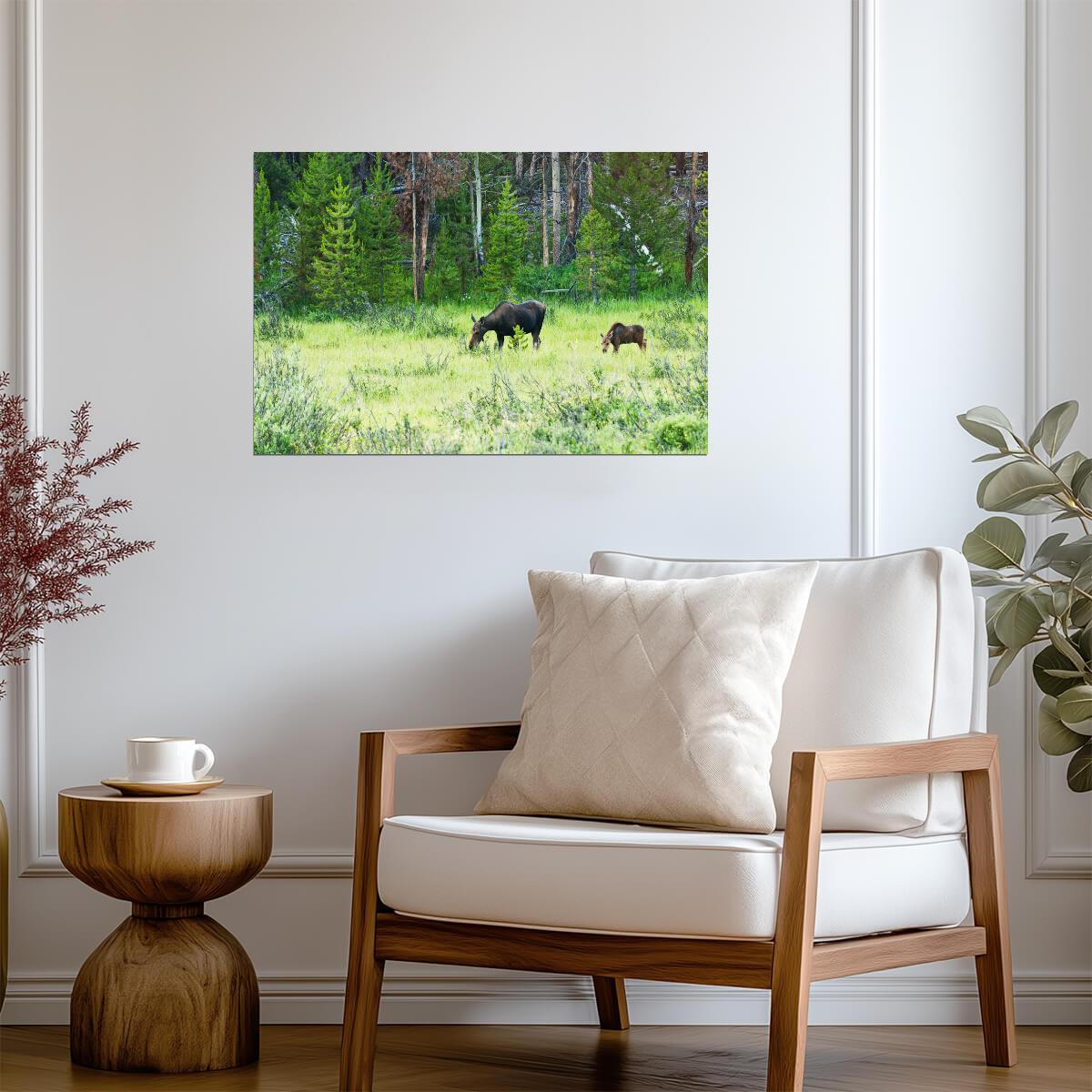 Cow Moose and Calf in Kawuneeche Valley | Rocky Mountains Photography Poster - Photography Poster