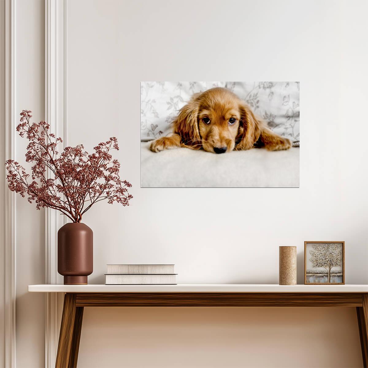 Cute Cocker Spaniel Puppy Lying Down | Pet Photography | Dog Poster - Photography Poster