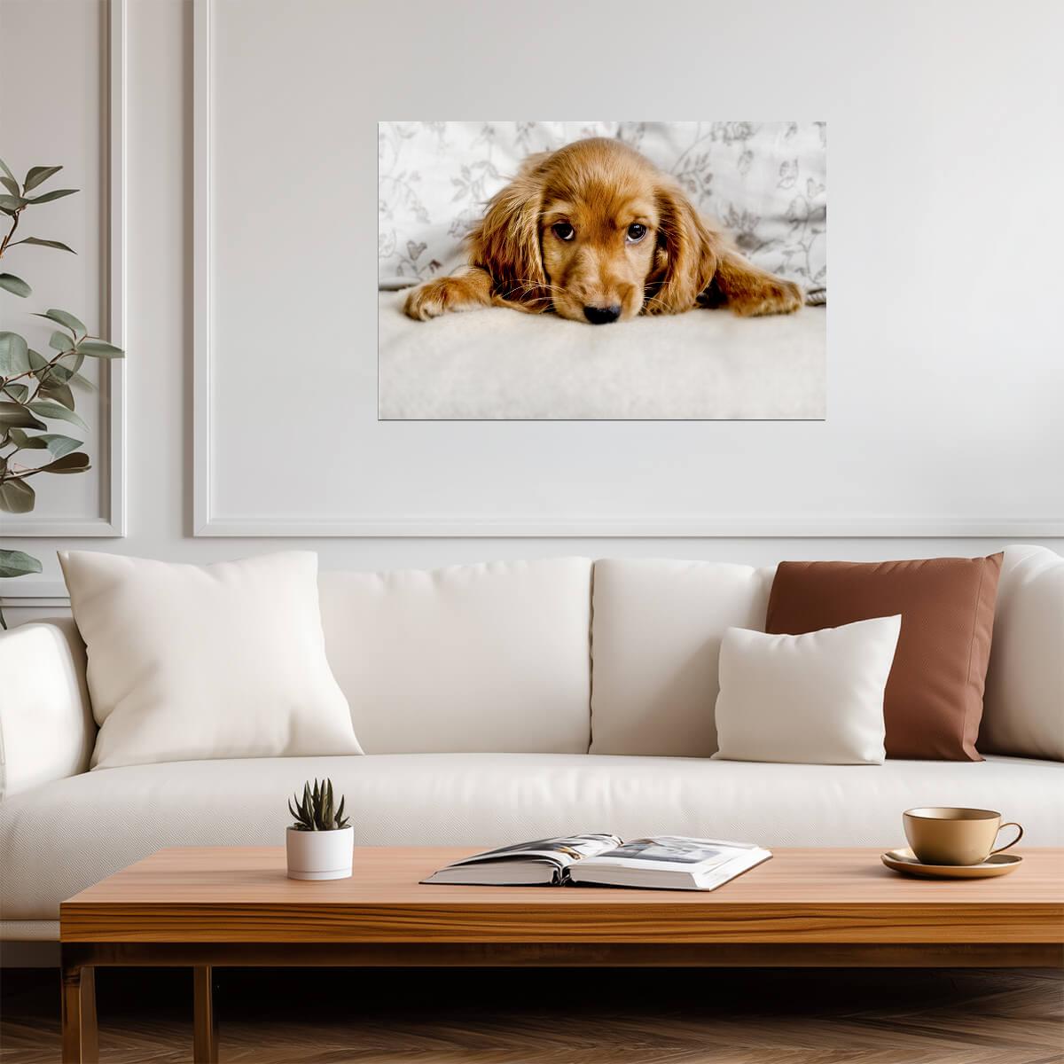 Cute Cocker Spaniel Puppy Lying Down | Pet Photography | Dog Poster - Photography Poster
