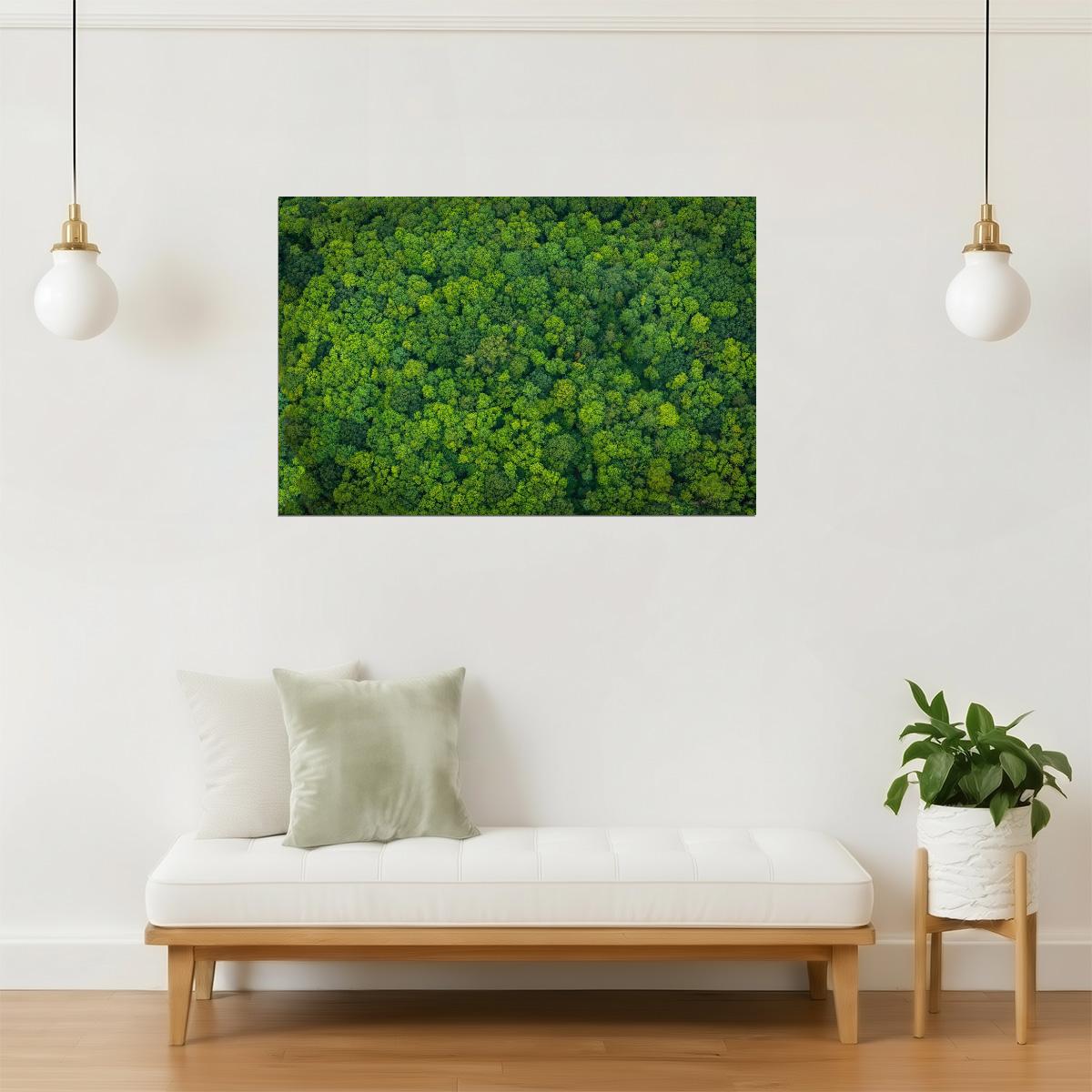 Lush Forest Aerial View Poster | Nature Photography | Green Canopy Wall Art