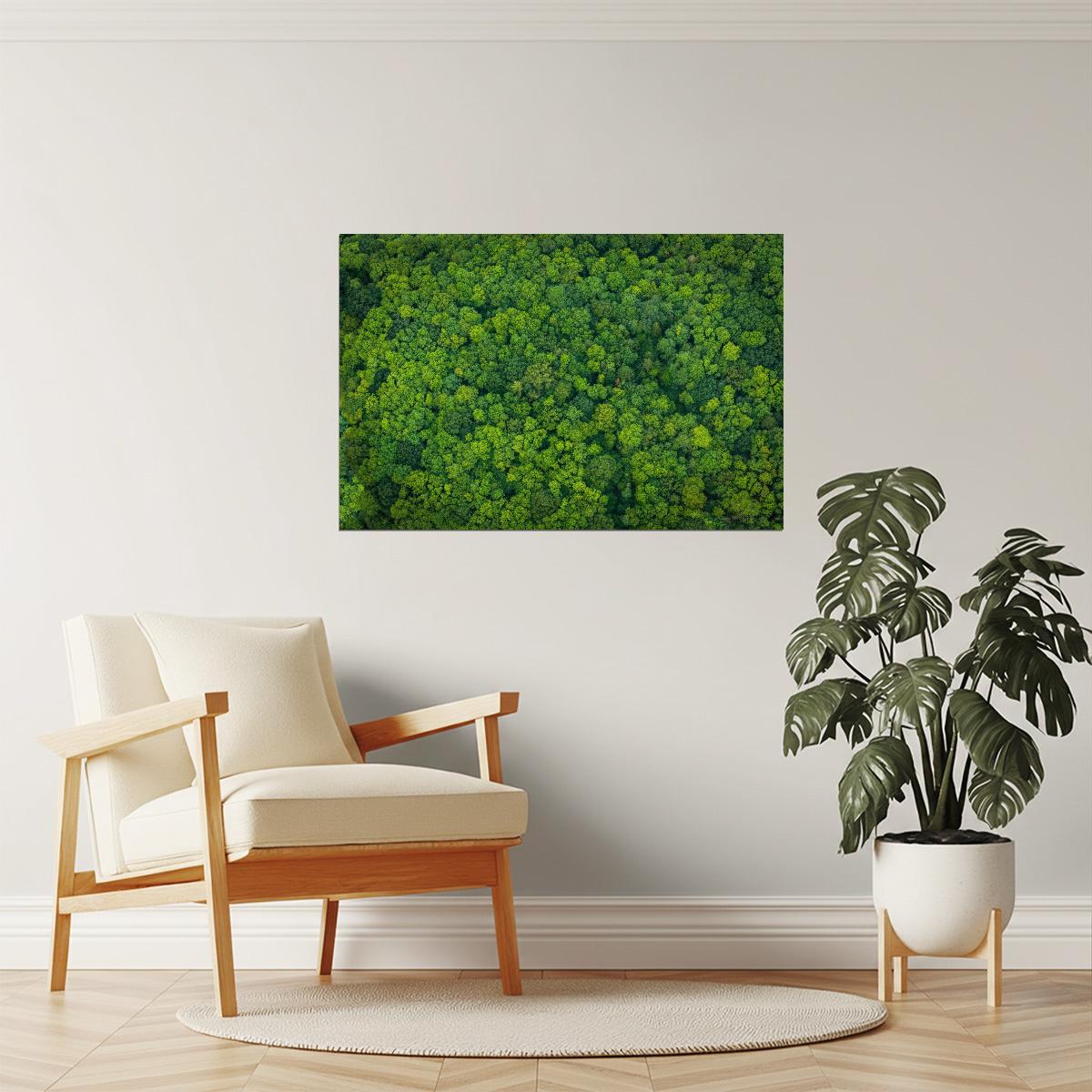 Lush Forest Aerial View Poster | Nature Photography | Green Canopy Wall Art