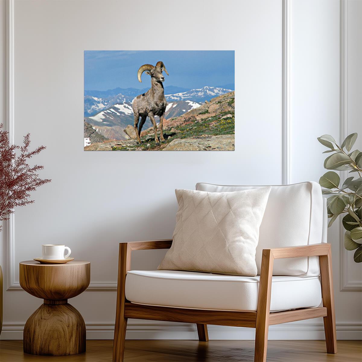 Big Horn Ram in Colorado | Rocky Mountains Wildlife Photography Poster - Photography Poster