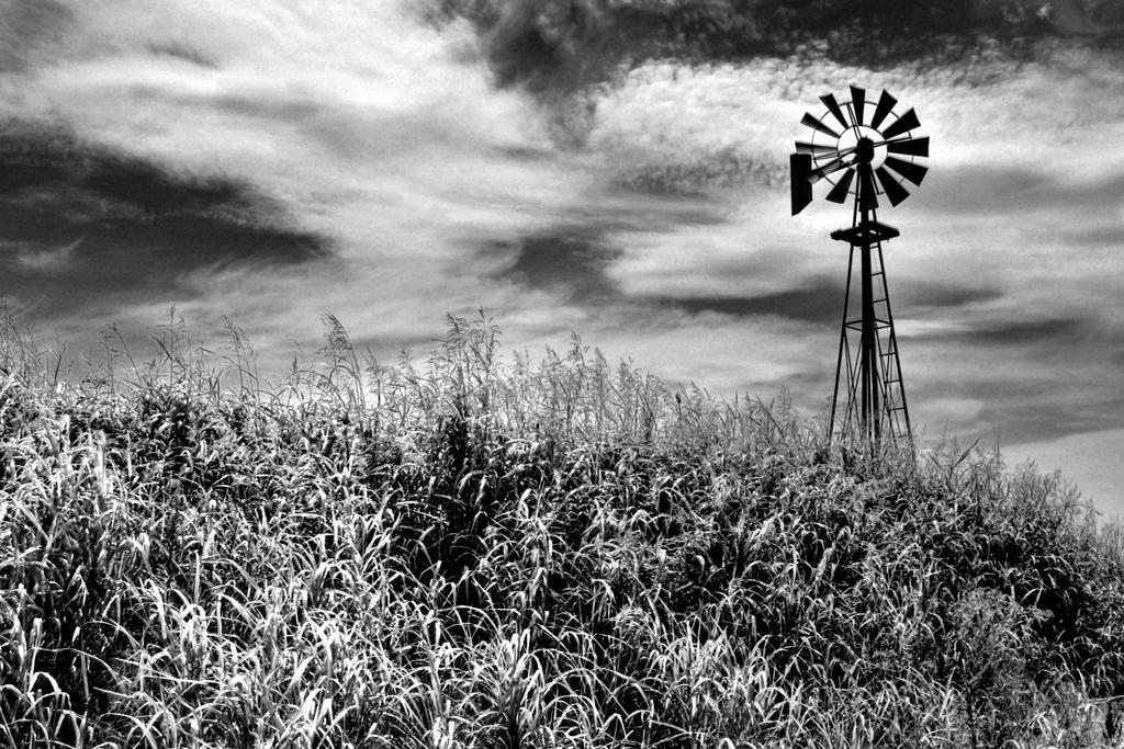 Timeless Windmill in Texas Hill Country | Black and White Rural Photography | Rustic Poster - Vintage & Retro Poster