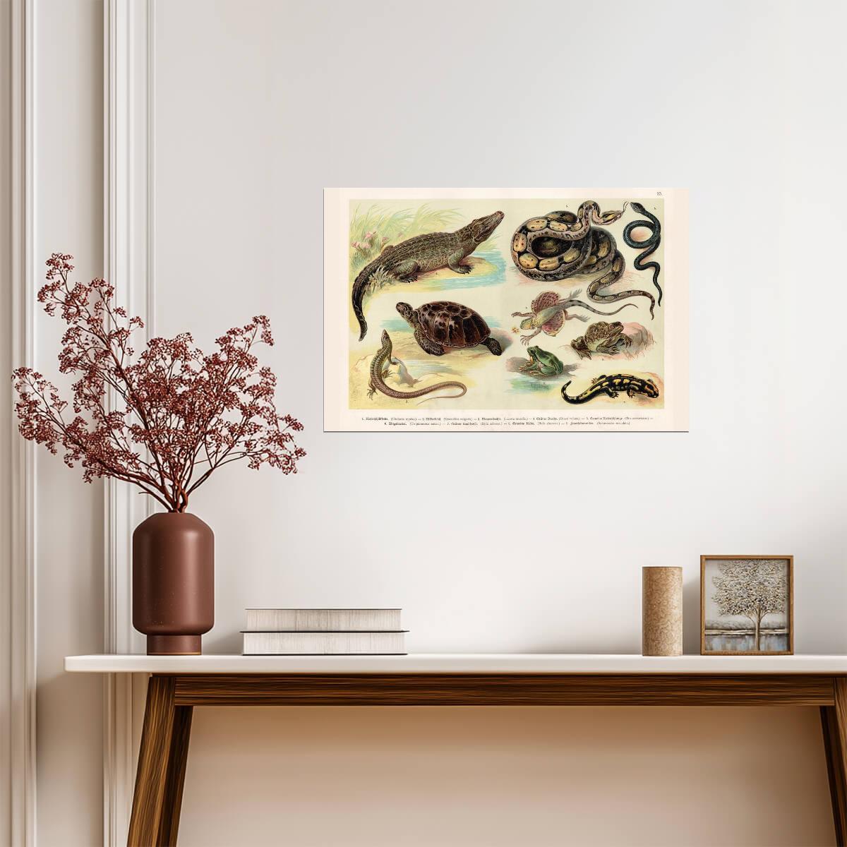 Reptiles Lithograph 1888 | Vintage Scientific Illustration | Antique Biology Chart Poster - Graphic & Art Poster