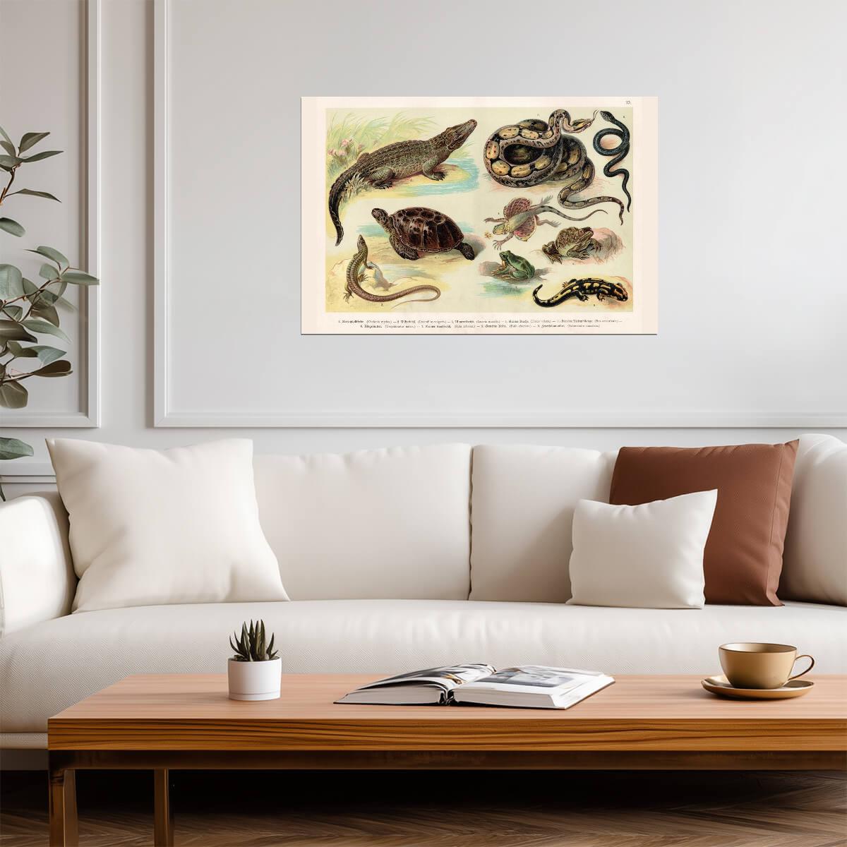 Reptiles Lithograph 1888 | Vintage Scientific Illustration | Antique Biology Chart Poster - Graphic & Art Poster