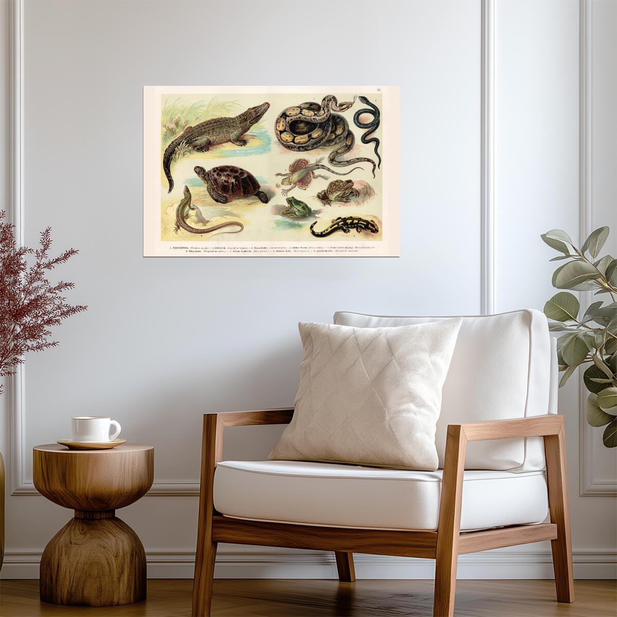 Reptiles Lithograph 1888 | Vintage Scientific Illustration | Antique Biology Chart Poster - Graphic & Art Poster