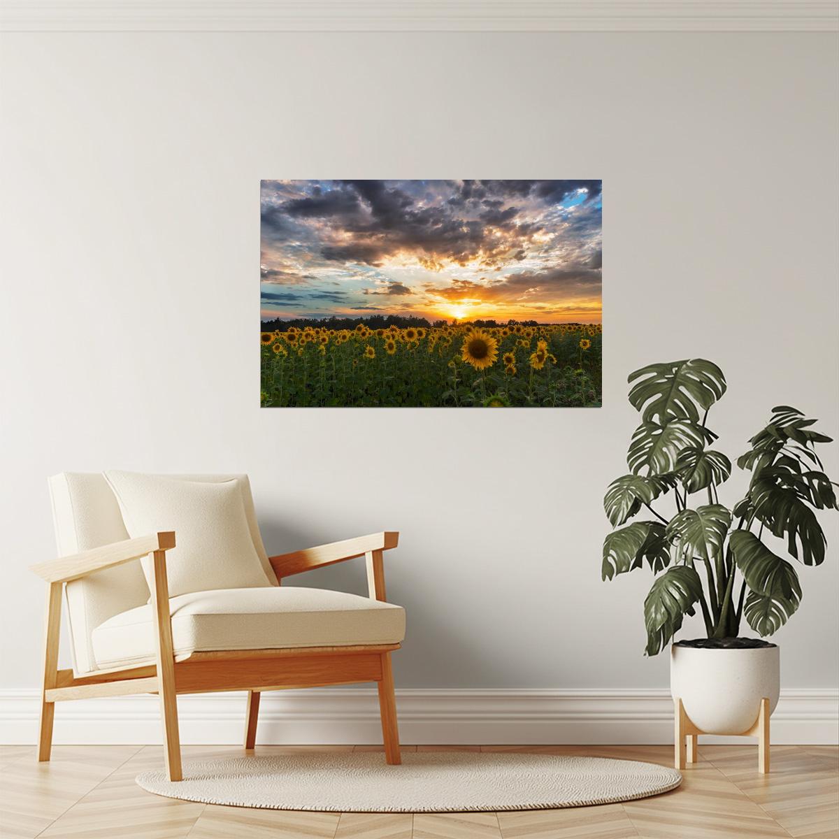 Tuscany Sunflower Field Poster | Italy Landscape Photography | Sunset Wall Art
