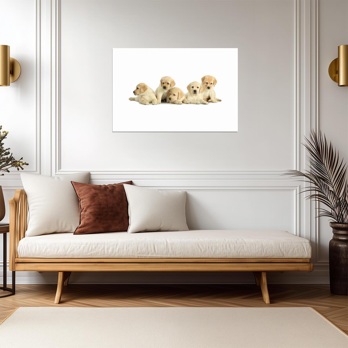 Five Cute Labrador Retriever Puppies | Dog Photography Poster | Pet Wall Art - Photography Poster