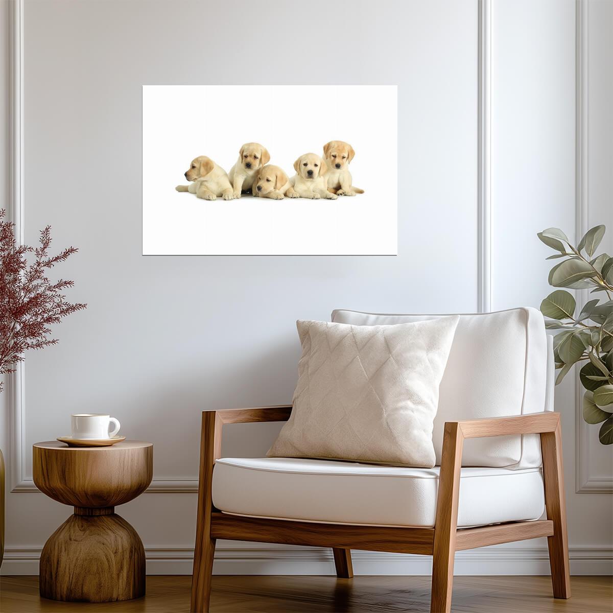 Five Cute Labrador Retriever Puppies | Dog Photography Poster | Pet Wall Art - Photography Poster