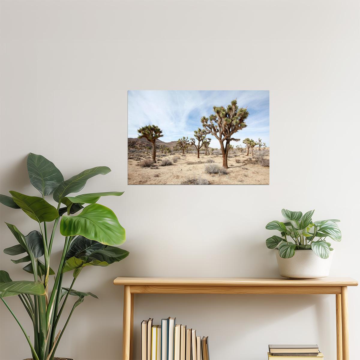 Joshua Tree National Park Poster | California Desert Photography | Landscape Wall Art