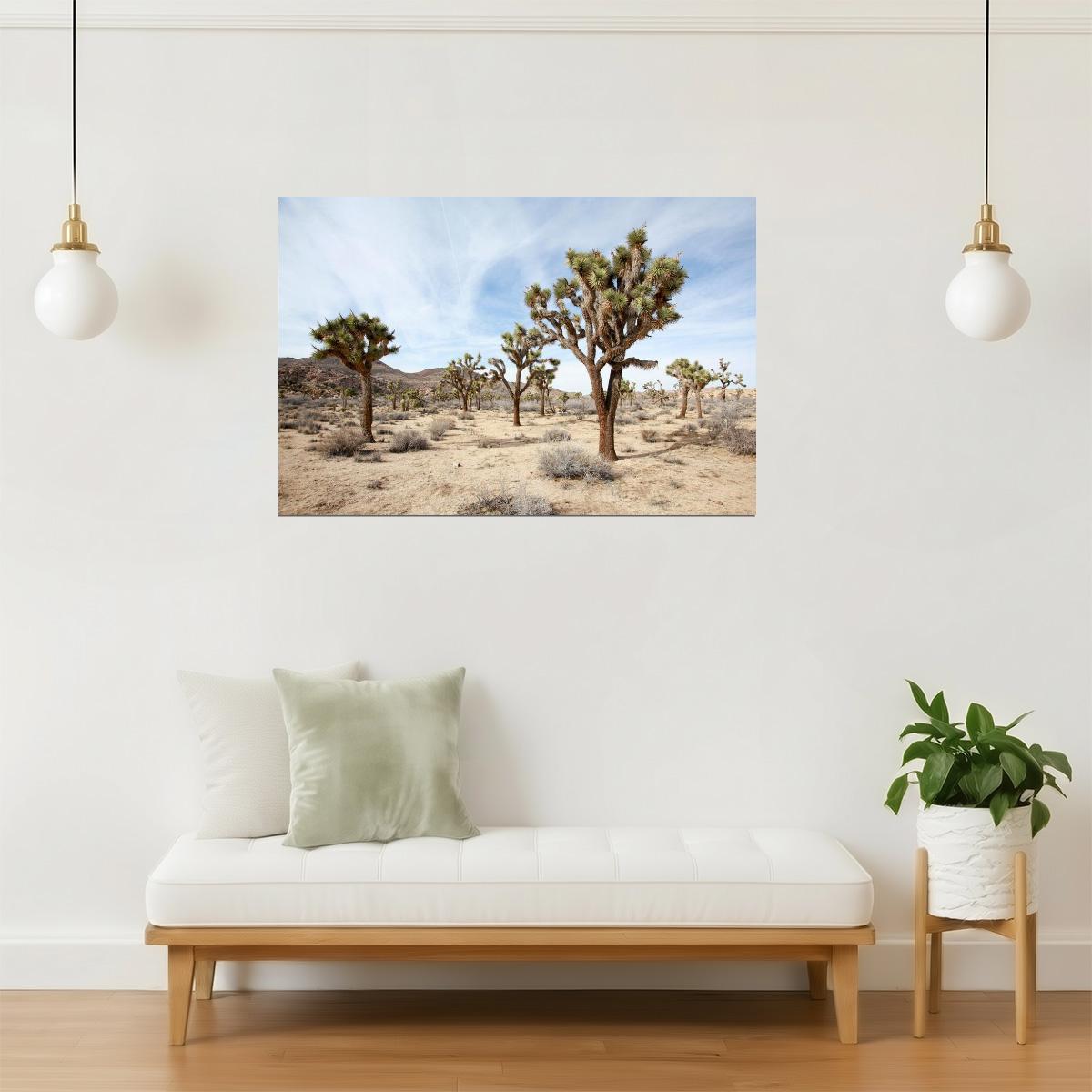 Joshua Tree National Park Poster | California Desert Photography | Landscape Wall Art